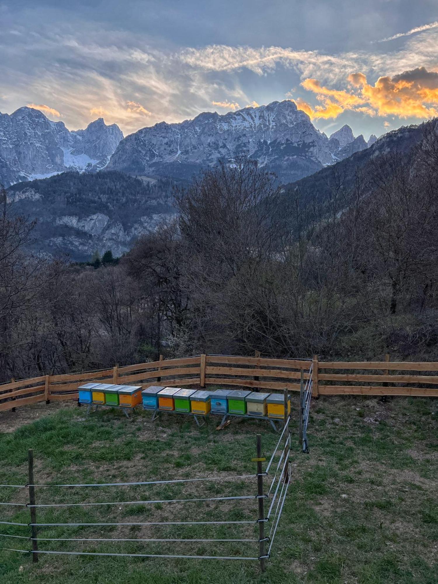 Agriturismo Ai Castioni Molveno Exterior foto